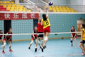 顶本文