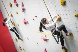 为什么库拉索岛能产出防守专家