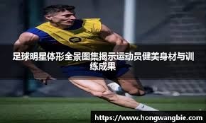与物理叠加